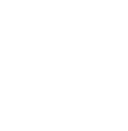 SecureWithFahri Logo